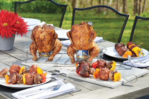 Napoleon RVS shaslick set – set van 8 roestvrijstalen spiesen met houder voor gelijkmatig grillen kip