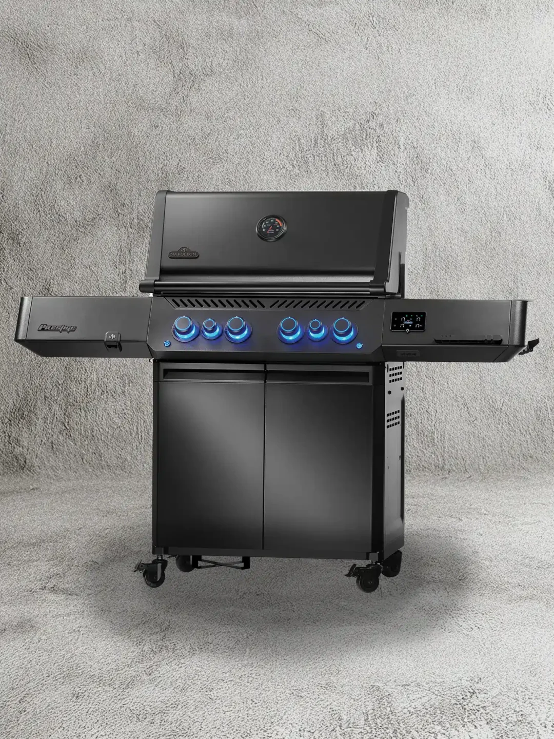 Napoleon bbq
